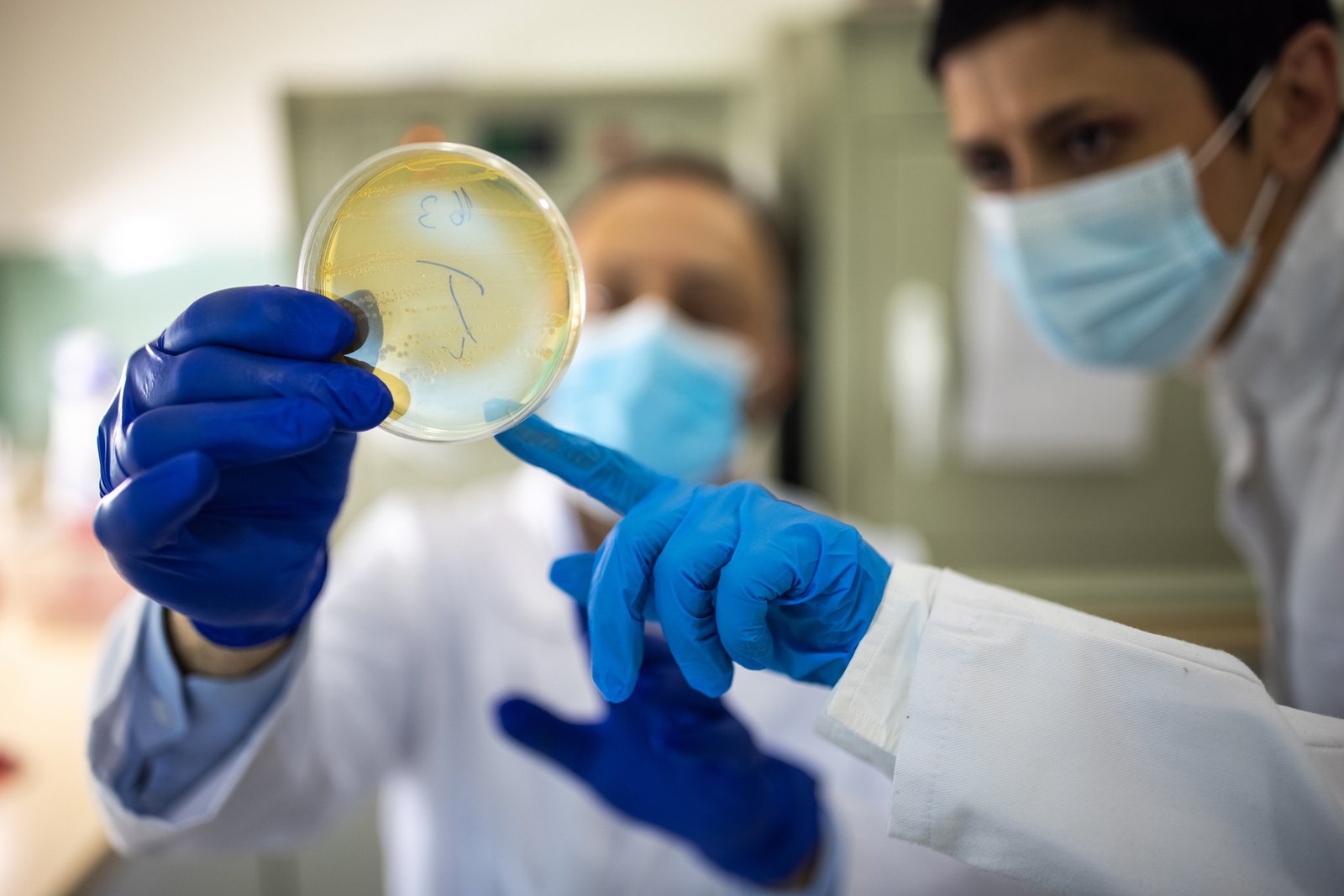 دراسة تكشف عن خطر يهدد العالم بخسائر بشرية واقتصادية فادحة بحلول 2050