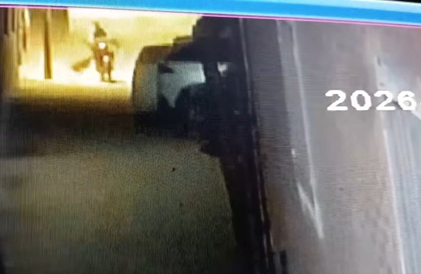 مصر.. تعرض 14 شخصا لهجوم من كلب يشتبه بإصابته بالسعار (فيديو)